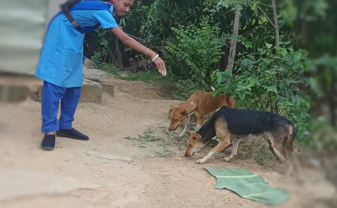 Friendship with animal 