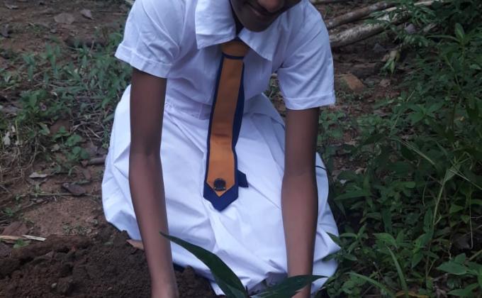 World Environment day Tree planting Campaign 