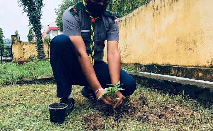 World enviroment Day