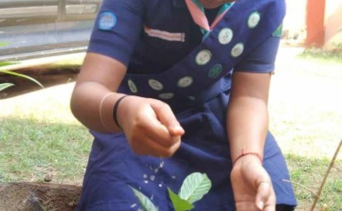 SANKALP 2.0 ACTIVITIY 5 - MY LOCKDOWN GARDEN