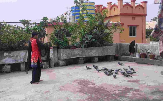 Sankalp 2.0 Activity 6