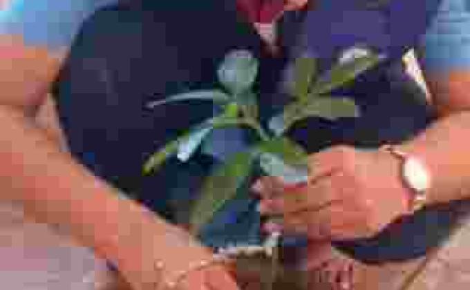 Sankalp 2.0 Activity 5