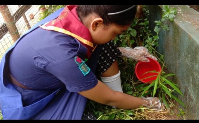 Plant a tree , get oxygen at free.