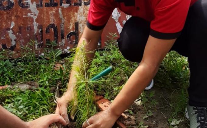 Plantation Program