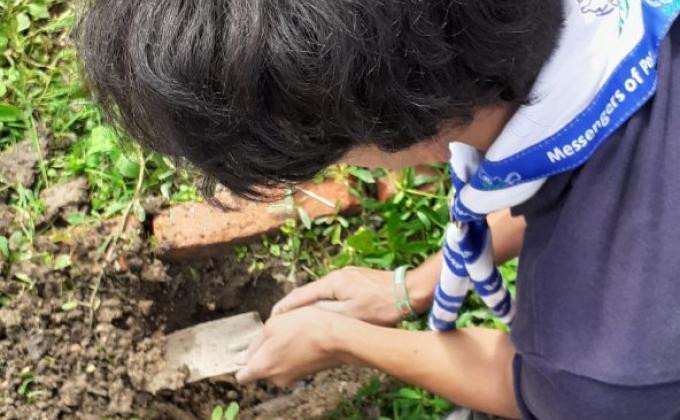 Plantation program in international peace day