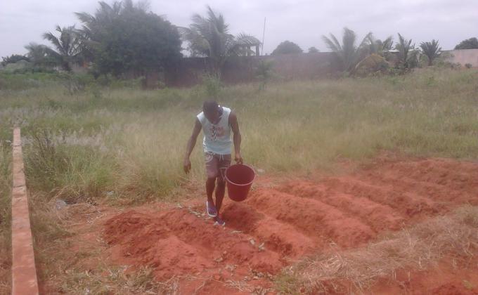 Travaux de recheches pour un angrais bio et culture de plantes fruitières, nuttritives et médicinales