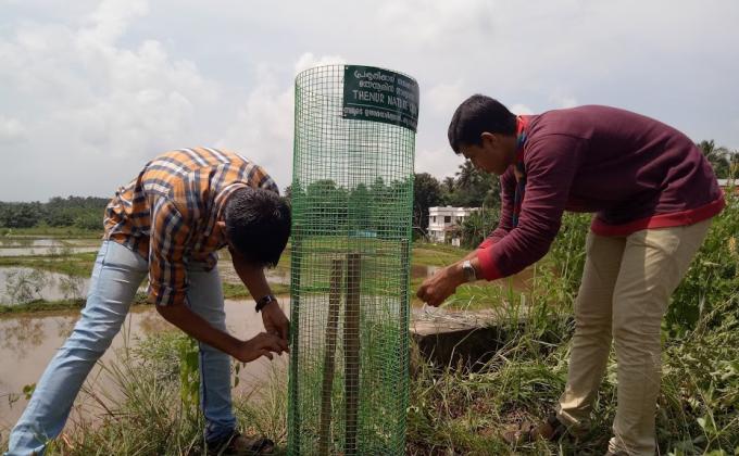 Tree plantation & Maintenance 
