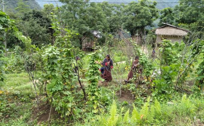 Sustainable agriculture