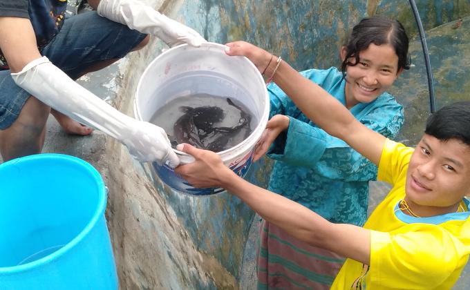 volunteering at TALI DRATSHANG