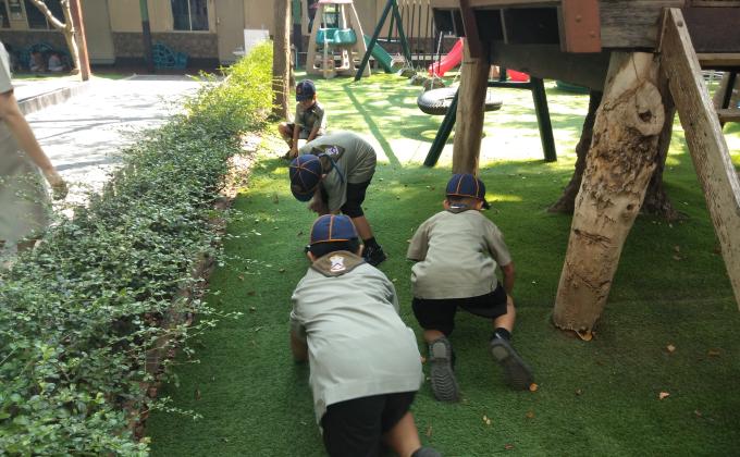 เก็บขยะ