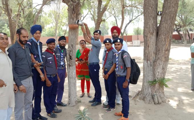पक्षियों के लिए लगाए गए परिडे