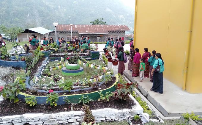 flower exibition 
