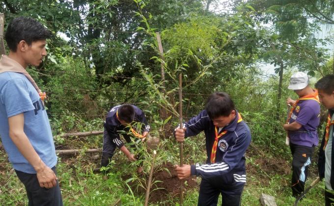 Tashitse Scouts observed Social Forestry Day