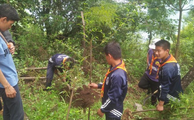 Plantation on Social Forestry Day.