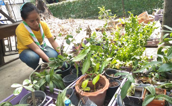 ปลูกต้นไม้