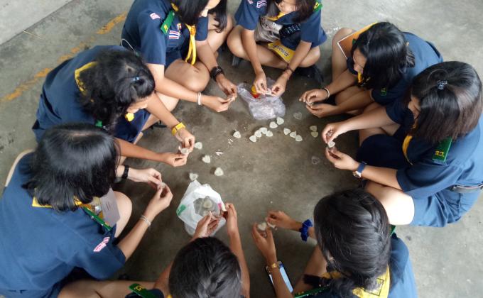 โครงงานลูกเสือต้านภัยโรคไข้เลือดออก