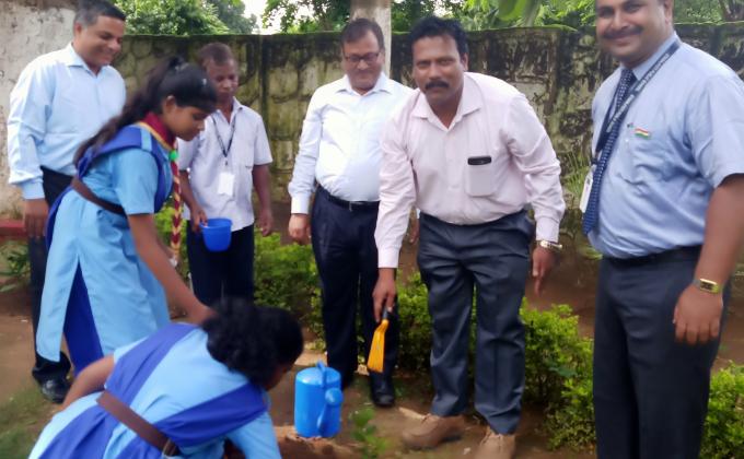 tree plantation 