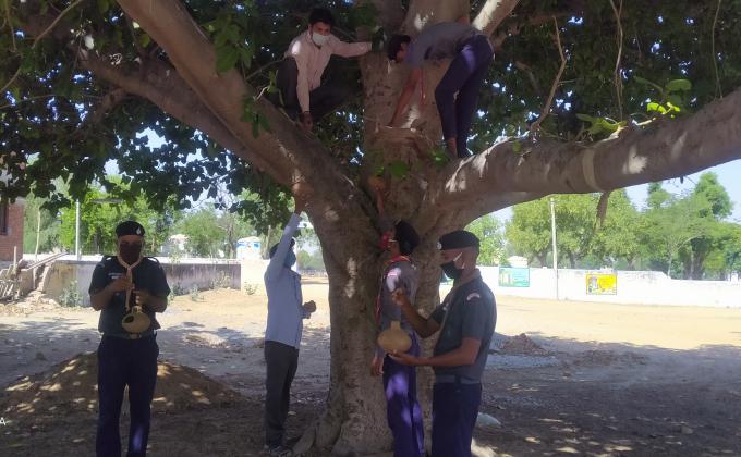 बेजुबान पक्षियों के लिए परेंडे लगाए गए