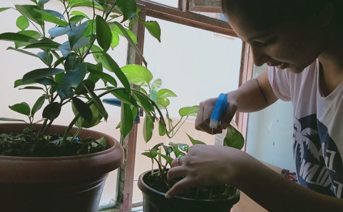 one more plant...