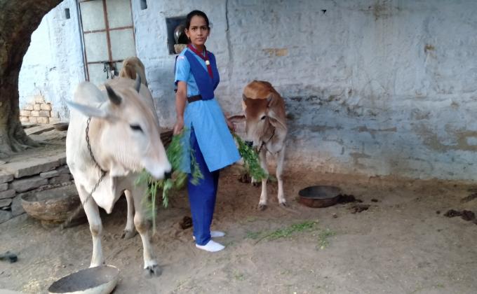 पशु पक्षियों गायों का  चुग्गा पात्र चारा BSG DHQ Jodhpur Rajasthan India