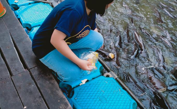 ทำความดีมอบอาหารให้ปลา