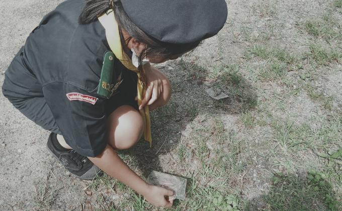 เก็บขยะสาธารณะ