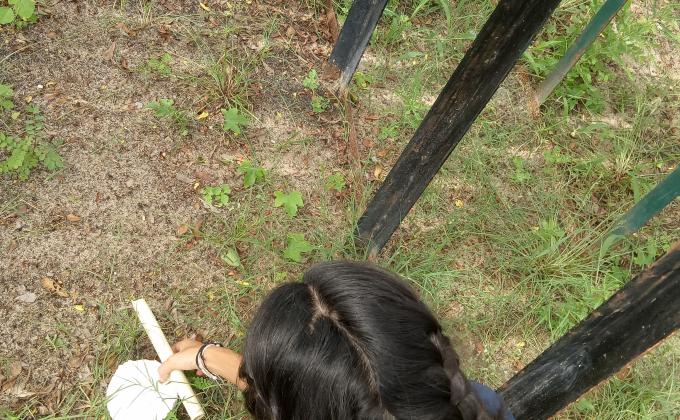 เก็บขยะ