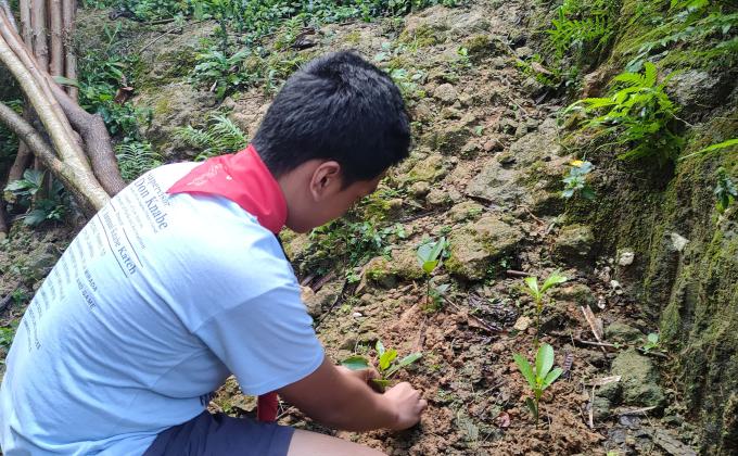 Community Service | Tree Planting and Cleaning