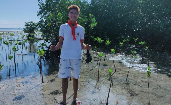 Mangrove Tree planting(75476)