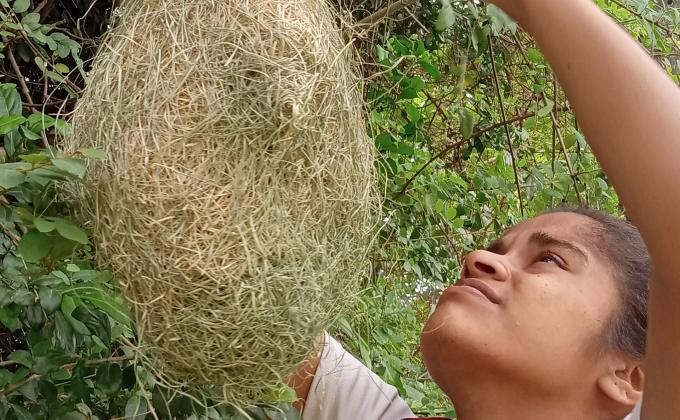 Putting the nest at the right place