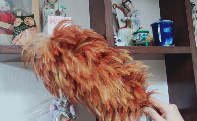 ปัดฝุ่น