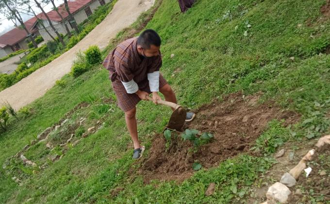 Bhutan scouts joins world in planting trees