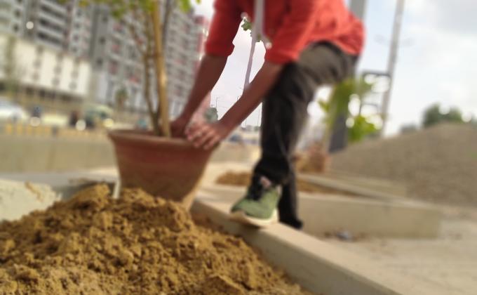 Planting trees to make earth colorfull