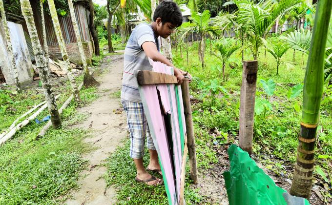 Ensuring trees safety 