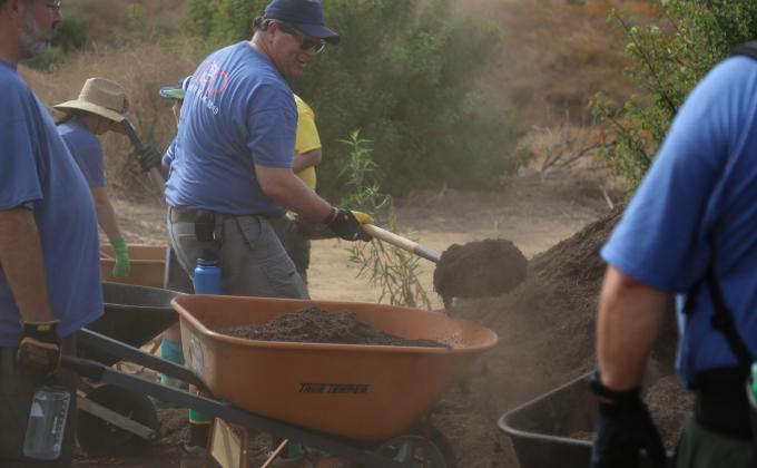 Orchard Clean Up and Rehabilitation