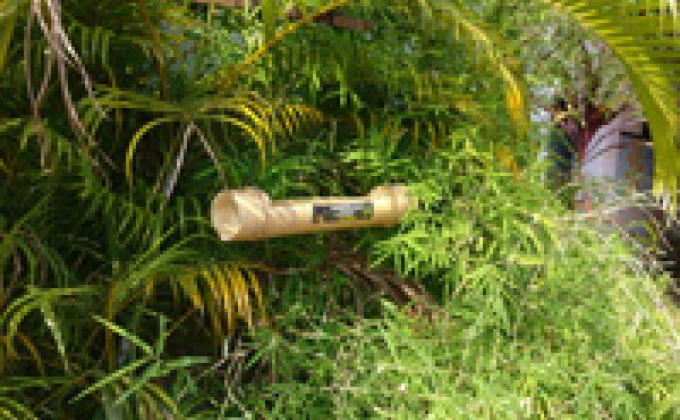 Natural Conservation 