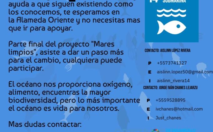 Mares Limpios - Oro