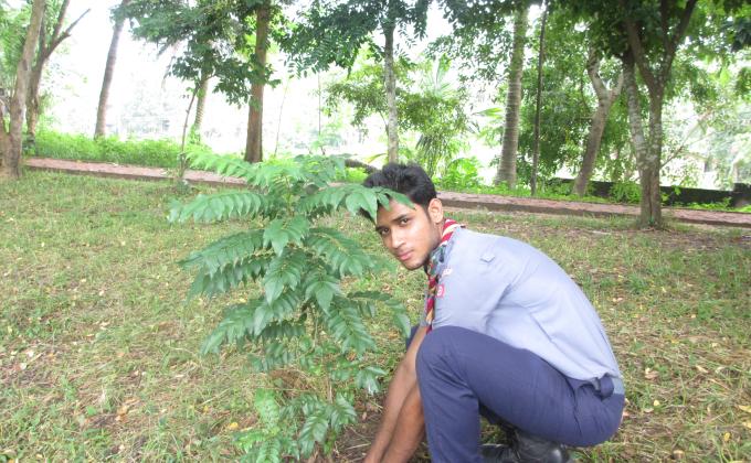 Tree Planting 
