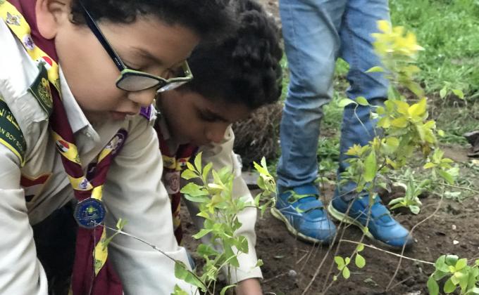 planting project