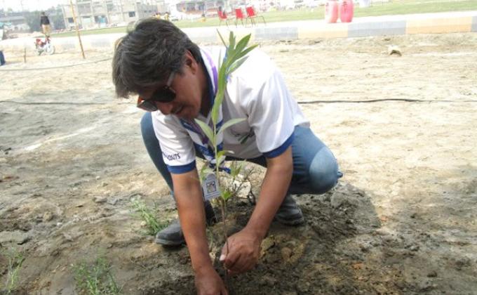 GO GREEN  (Tree for life)