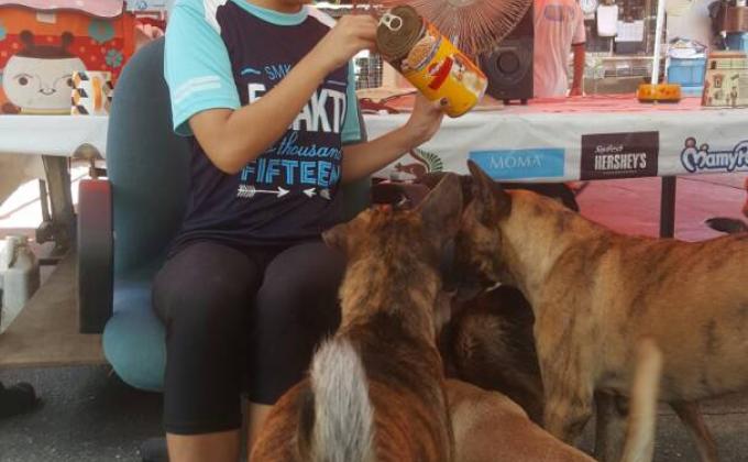 Visits to PAWS