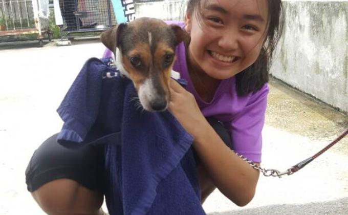Aaron's Visit To PAWS 2.0
