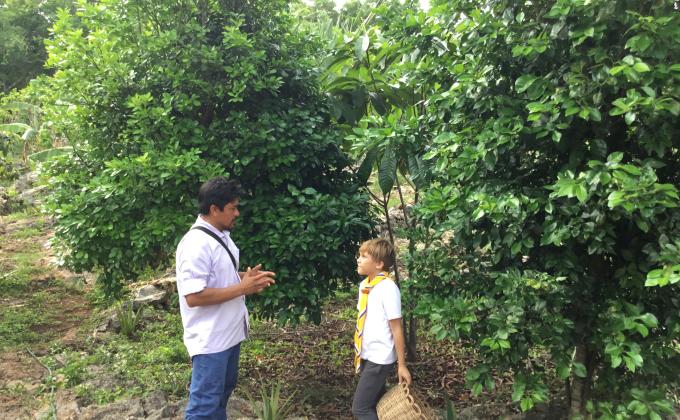 Scouting: los Mayas