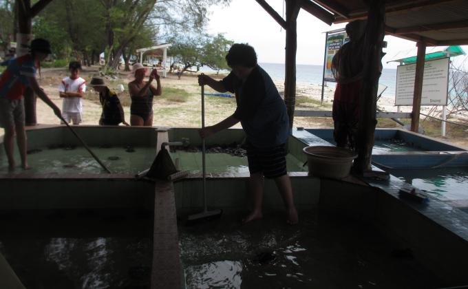 Lombok Turtle Rescue (Find And Rescue Turtle eggs) ~ Part 2