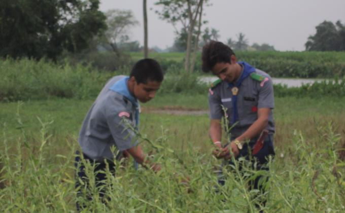 HELPING FARMER 