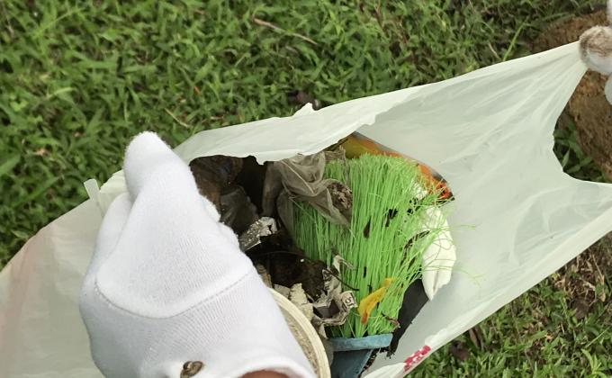 Picking Up Rubbish in my neighbourhood
