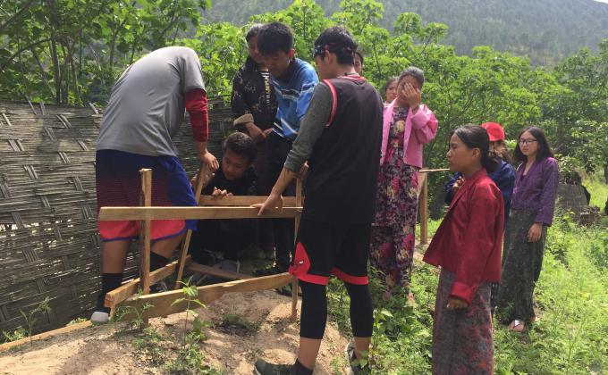 Tree plantation