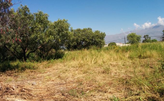 jardineros por la paz