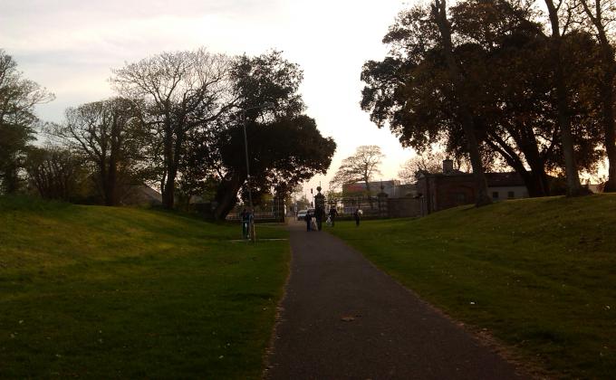 Kenure Woods Clean Up