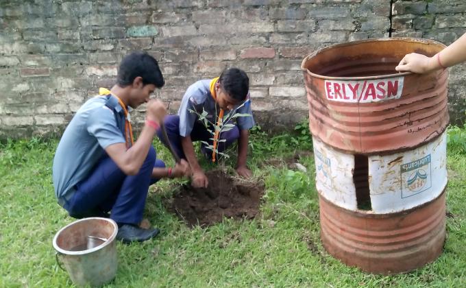 afforestation campaign